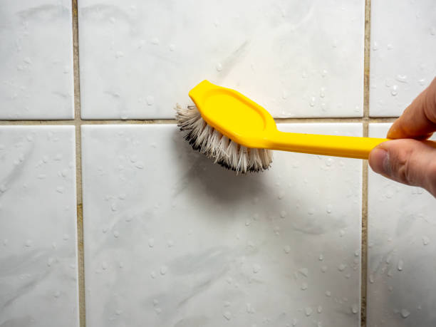 Best Black Mold Removal  in Brookside Village, TX